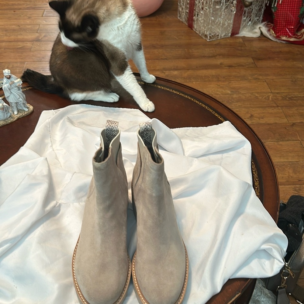 Dolce vita suede tan taupe boots!  
So good looking !  New never worn !